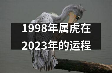 1998年属虎在2025年的运程