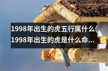 1998年出生的虎五行属什么(1998年出生的虎是什么命)