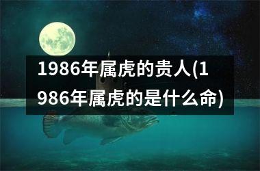 1986年属虎的贵人(1986年属虎的是什么命)