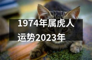 1974年属虎人运势2025年