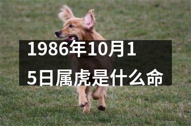 1986年10月15日属虎是什么命