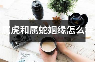 属虎和属蛇姻缘怎么样