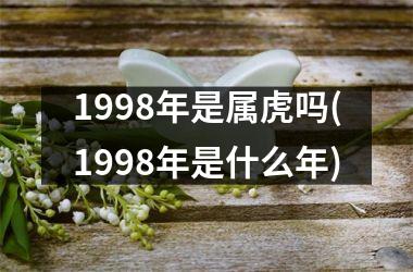 <h3>1998年是属虎吗(1998年是什么年)