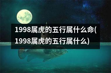 <h3>1998属虎的五行属什么命(1998属虎的五行属什么)