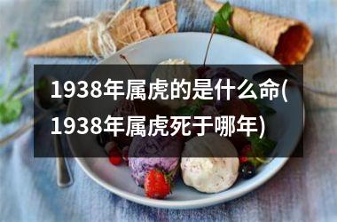 1938年属虎的是什么命(1938年属虎死于哪年)