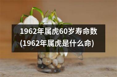 1962年属虎60岁寿命数(1962年属虎是什么命)