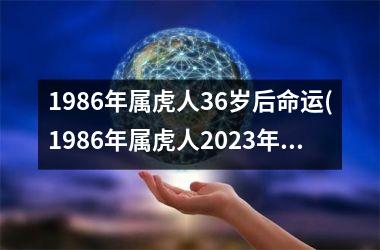 1986年属虎人36岁后命运(1986年属虎人2025年运势)