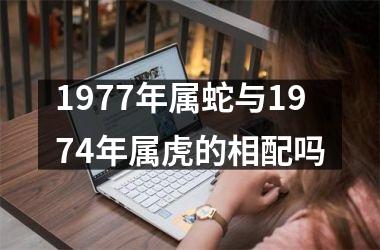 1977年属蛇与1974年属虎的相配吗