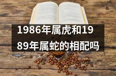 <h3>1986年属虎和1989年属蛇的相配吗