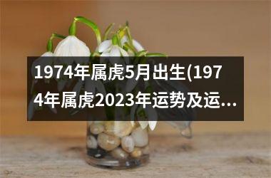 1974年属虎5月出生(1974年属虎2025年运势及运程每月运程)