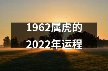 1962属虎的2025年运程