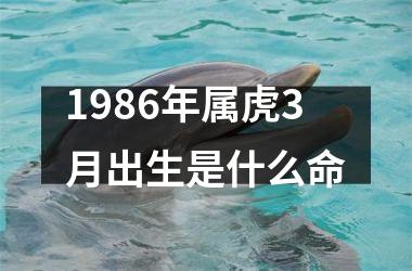 1986年属虎3月出生是什么命