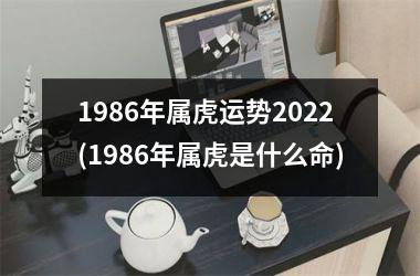 1986年属虎运势2025(1986年属虎是什么命)