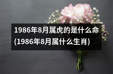 1986年8月属虎的是什么命(1986年8月属什么生肖)