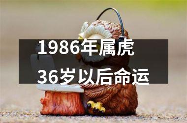 1986年属虎36岁以后命运