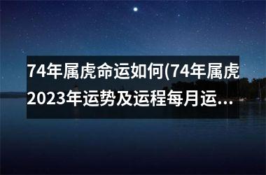 <h3>74年属虎命运如何(74年属虎2025年运势及运程每月运程)