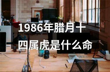 <h3>1986年腊月十四属虎是什么命