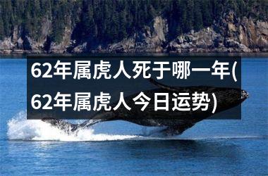 62年属虎人死于哪一年(62年属虎人今日运势)