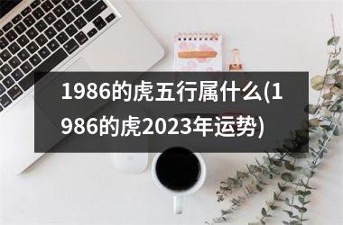 1986的虎五行属什么(1986的虎2025年运势)