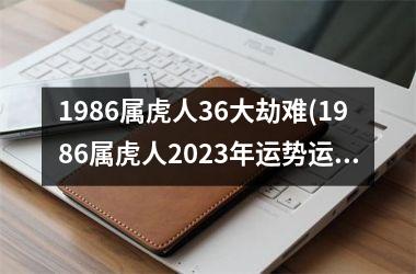 1986属虎人36大劫难(1986属虎人2025年运势运程每月运程)