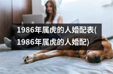 1986年属虎的人婚配表(1986年属虎的人婚配)