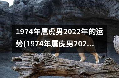 1974年属虎男2025年的运势(1974年属虎男2025年运势及运程)