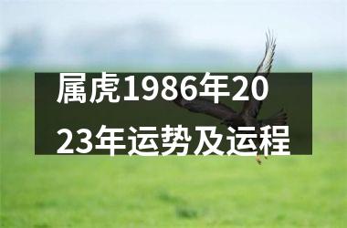 属虎1986年2025年运势及运程