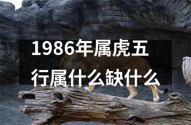 1986年属虎五行属什么缺什么