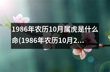 1986年农历10月属虎是什么命(1986年农历10月26日是什么星座)