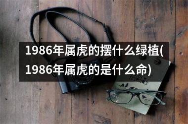 1986年属虎的摆什么绿植(1986年属虎的是什么命)