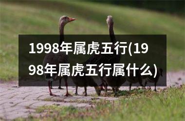 1998年属虎五行(1998年属虎五行属什么)