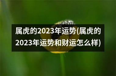 属虎的2025年运势(属虎的2025年运势和财运怎么样)