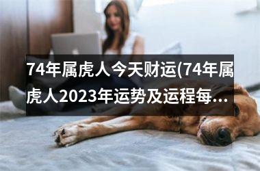 74年属虎人今天财运(74年属虎人2025年运势及运程每月运程)