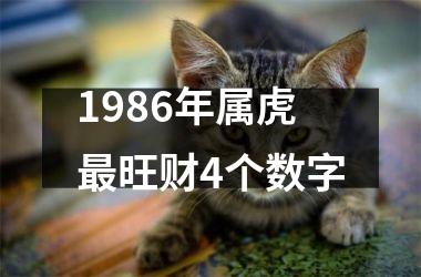 1986年属虎最旺财4个数字