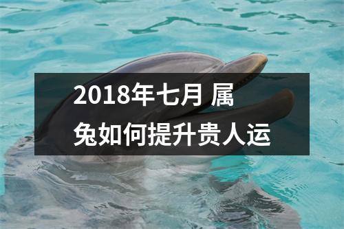 2018年七月属兔如何提升贵人运