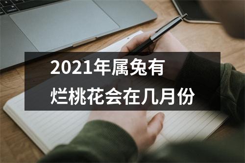 2025年属兔有烂桃花会在几月份