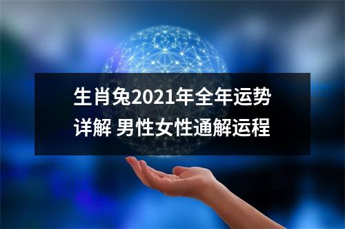 生肖兔2021年全年运势详解男性女性通解运程