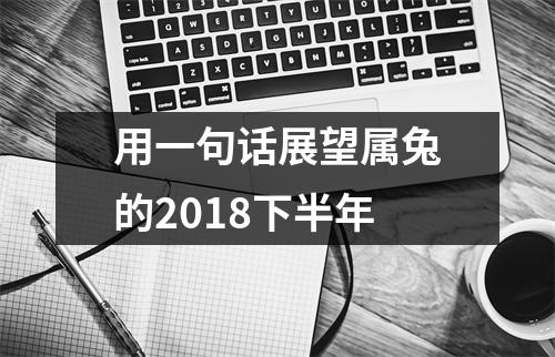 用一句话展望属兔的2018下半年