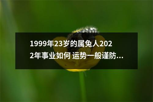 1999年23岁的属兔人2025年事业如何运势一般谨防小人
