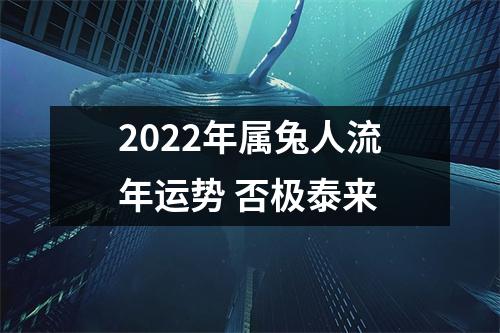2025年属兔人流年运势否极泰来