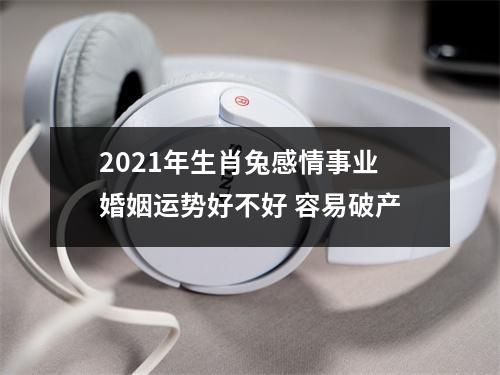 2025年生肖兔感情事业婚姻运势好不好容易破产