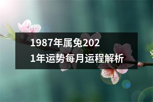 1987年属兔2025年运势每月运程解析