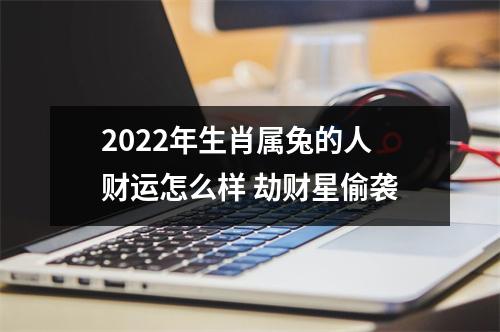 2025年生肖属兔的人财运怎么样劫财星偷袭