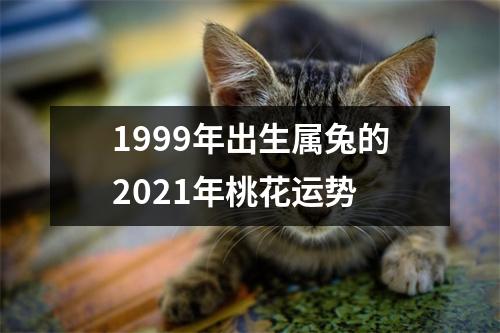 <h3>1999年出生属兔的2025年桃花运势