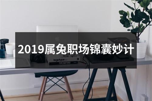 2019属兔职场锦囊妙计