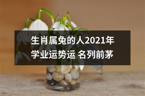 生肖属兔的人2025年学业运势运名列前茅