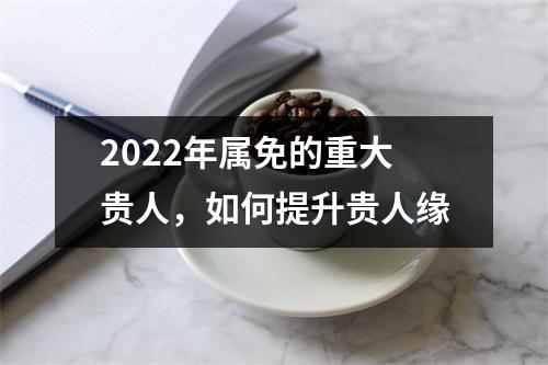 <h3>2025年属免的重大贵人，如何提升贵人缘