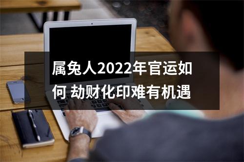 属兔人2025年官运如何劫财化印难有机遇