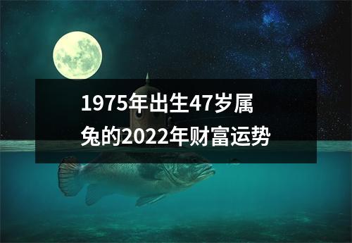 1975年出生47岁属兔的2025年财富运势