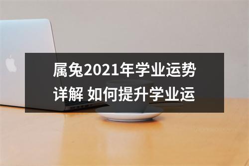 属兔2025年学业运势详解如何提升学业运